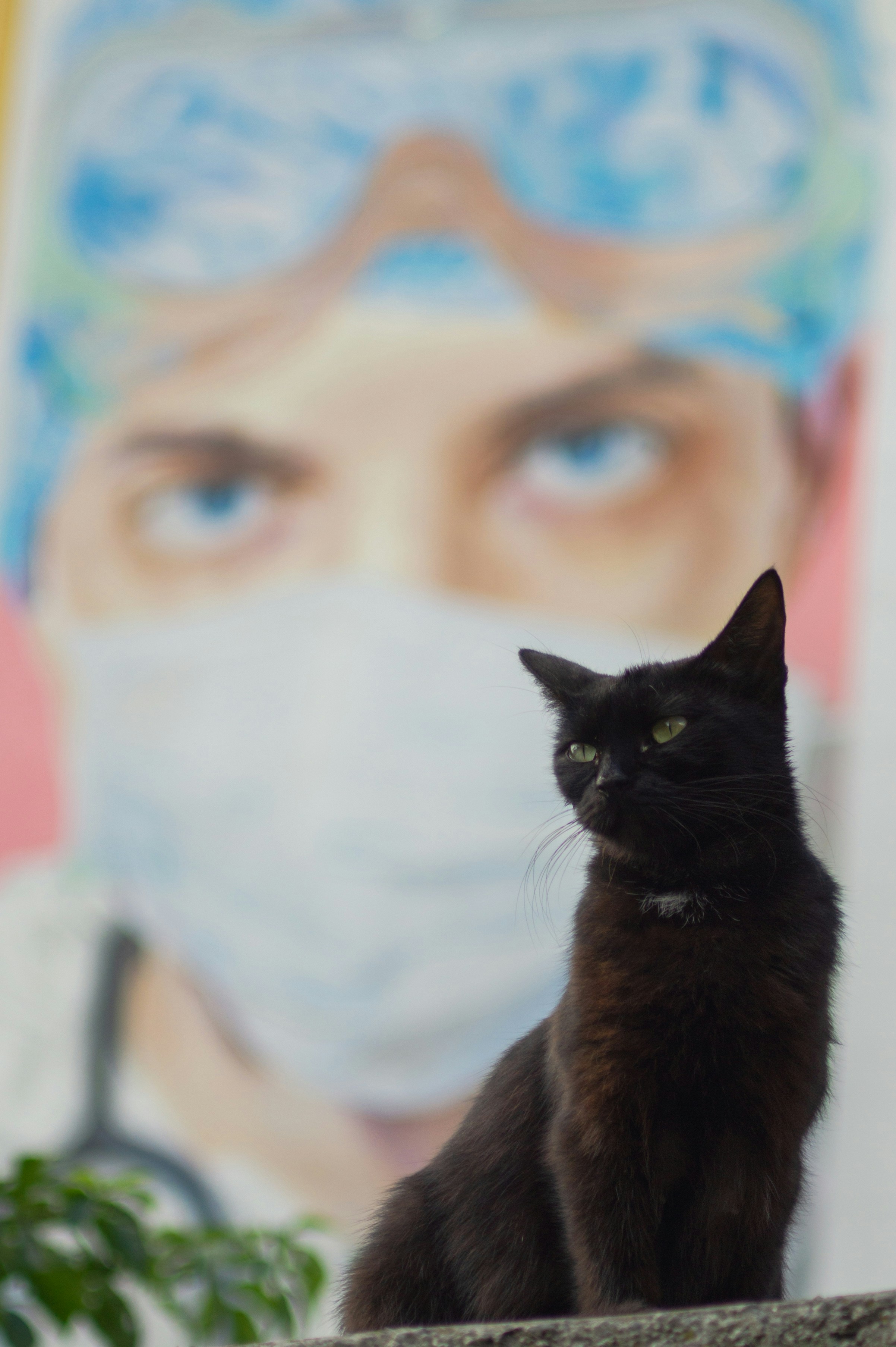 medical